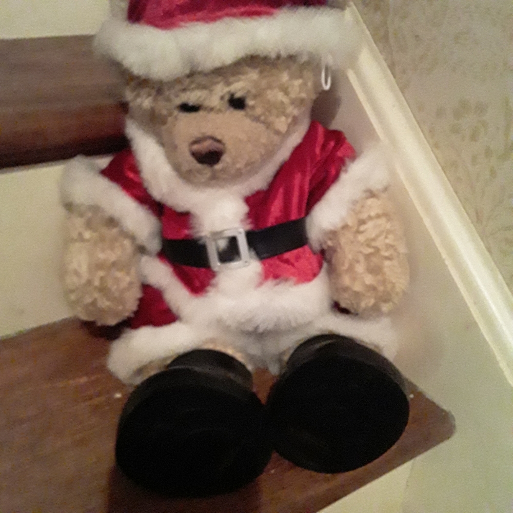 Build a Bear Santa Teddy Bear in Costume Retired